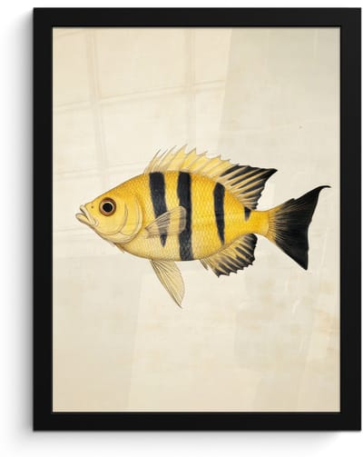 Poster in lijst - Fotolijst 30x40 cm - Posters - Geel - Vis - Strepen - Tropisch - Posterlijst zwart - Decoratie - Wanddecoratie woonkamer - Muurdecoratie slaapkamer