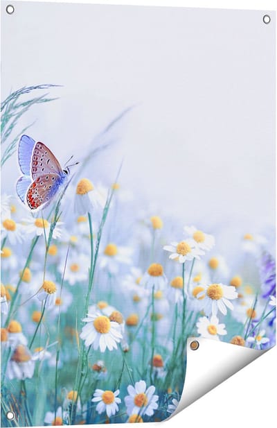 Gards Tuinposter Witte Kamille Bloemen met een Vlinder - 60x80 cm - Tuindoek - Tuindecoratie - Wanddecoratie buiten - Tuinschilderij
