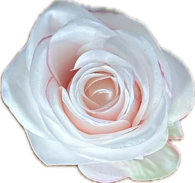 AMALIA POEDER ROZE KUNSTROZEN - Rozenkoppen 12 stuks - Mooie Kwaliteit Kunstbloemen - Nepbloemen - Rozen zonder Steltjes - Kunstbloemen voor Decoraties/ Versieringen - DIY Bloemen - Rozen voor de Bloemenmuur