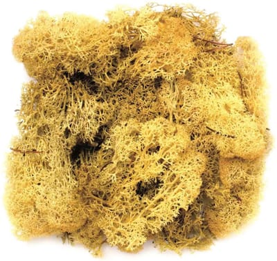 Decoratie nep mos 50 gram - 2x - geel - Hobby/knutselen - herfst/kerst thema - opvullen - decoreren - nature