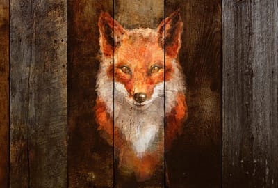 Fotobehang PolygonFox1 DD118140 A.S. Création Atelier 47 | Fotobehang online webshop
