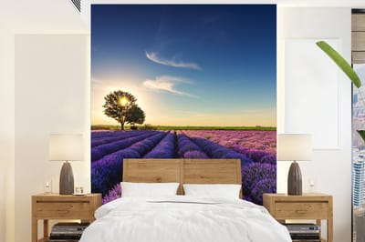 Behang - Fotobehang Lavendel - Zon - Boom - Bloemen - Paars - Breedte 165 cm x hoogte 220 cm