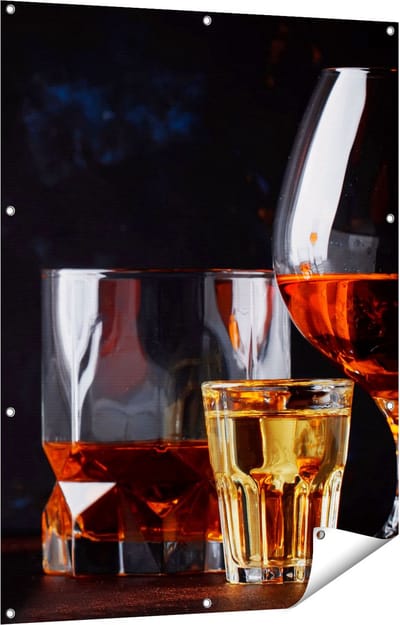 Gards Tuinposter Sterke Alcohol Drank - Glazen - 90x120 cm - Tuindoek - Tuindecoratie - Wanddecoratie buiten - Tuinschilderij