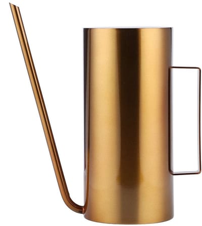 Dailygoods- Gieter 1,5 Liter - Roestvrij Staal - Lange Uitloop - Plantenirrigatiegereedschap - Binnen/Buiten - Ergonomisch Handvat - Plantenbewateringskan