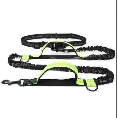 Laisse pour animaux de compagnie, réfléchissante, Double rétractable, pour course en plein air, chaîne pour chien, fournitures pour animaux de compagnie vert