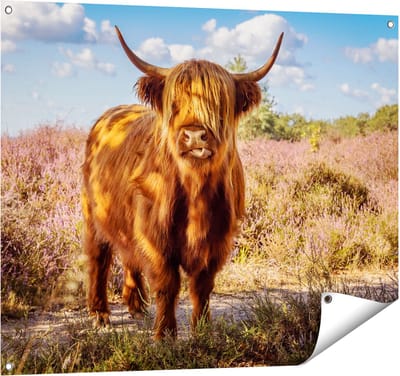 Gards Tuinposter Schotse Hooglander Koe in de Wei - 100x80 cm - Tuindoek - Tuindecoratie - Wanddecoratie buiten - Tuinschilderij