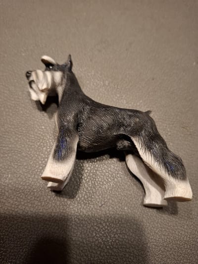beeld schnauzer