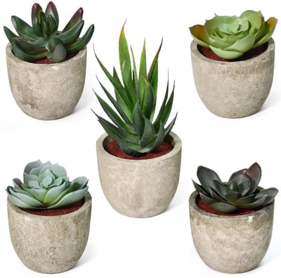 Faux vetplantenpot