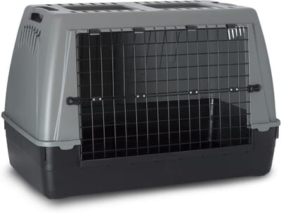 Hondentransportbox - Reiskennel - Veilig Vervoer - Dubbelzijdig Ontwerp - 100 x 60 x 65 cm - Meerkleurig