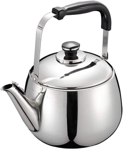 Waterkoker Roestvrij Staal - Fluitketel Theepot - Water Koken - Dik Materiaal - 5L - Zilver