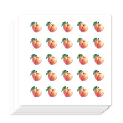 Plannerstickers 500 Stuks - Zelfklevende Stickers - Fruitthema Stickers - Decoratie Stickers - Stickers voor Planner/Kalender - Creatief Knutselen