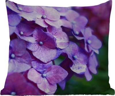 Tuinkussen - Bloemen - Paars - Hortensia - Natuur - Bloemblaadjes - 40x40 cm - Weerbestendig