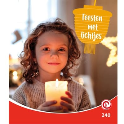 Feest Met Lichtjes - Kijkdoos - Minke van Dam