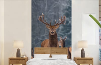 Behang - Fotobehang Hert - Winter - Sneeuw - Bosdieren - Bos - Natuur - Breedte 120 cm x hoogte 240 cm