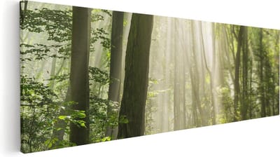 Artaza Canvas Schilderij Zonnestralen Bos - 60x20 cm - Wanddecoratie Landschap - Muurdecoratie Woonkamer - Schilderijen Op Canvas