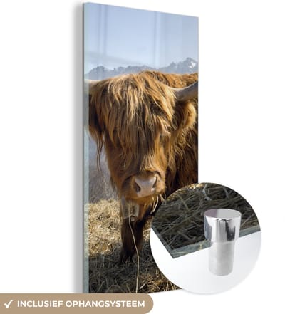MuchoWow® Glasschilderij 20x40 cm - Schilderij acrylglas - Schotse Hooglander - Berg - Sneeuw - Foto op glas - Schilderijen