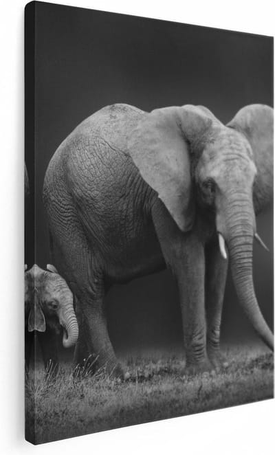 Artaza Canvas Schilderij Olifant Met Kalf - 30x40 cm - Klein - Wanddecoratie Woonkamer - Muurdecoratie Dieren Afrika - Kamer Accessoires