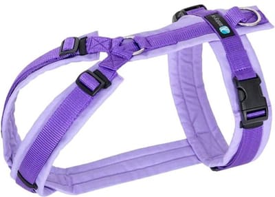 AnnyX Hondentuig - FUN - Speurtuig - Paars/Lila - maat M - Borstomvang 62-74cm - Gewicht hond 18-30 kg