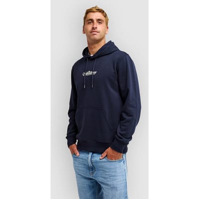 Quiksilver Fineline Hoodie blauw