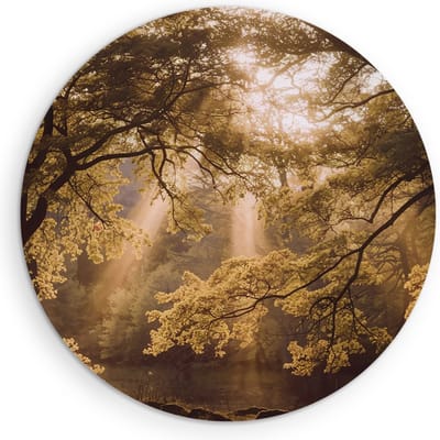 Saammp Muurcirkel Hout - Lichtval - Bomen - Landschap - Natuur - Ø 90 - Wandcirkel - Wanddecoratie Cirkel - Muurdecoratie Woonkamer - Slaapkamer decoratie - Rond Schilderij