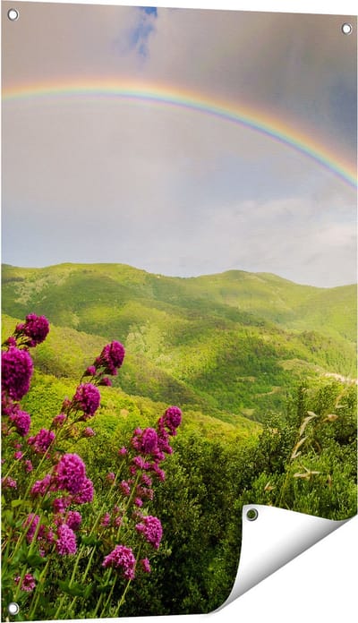 Gards Tuinposter Regenboog in de Heuvel Bossen - 60x90 cm - Tuindoek - Tuindecoratie - Wanddecoratie buiten - Tuinschilderij