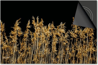 Inductie beschermer 60x60 - afdekplaat inductie mat - Dietrix Kookplaat beschermer - Exclusief - Black en Gold - Gras pluimen