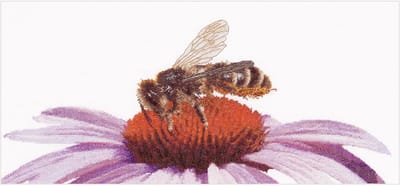Thea Gouverneur - Borduurpakket met telpatroon - 549A - Voorgesorteerde DMC Garens - Bij op Echinacea - Aida - 21 cm x 45 cm - DIY Kit