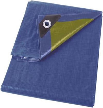 32 ringen versterkte hoeken rechthoekig dekzeil blauw groen - 70 g/m² - 6 x 10 m