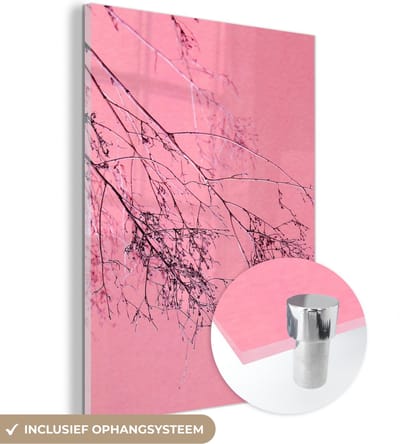 MuchoWow® Glasschilderij 30x40 cm - Schilderij acrylglas - Bloemen - Takken - Zomer - Foto op glas - Schilderijen