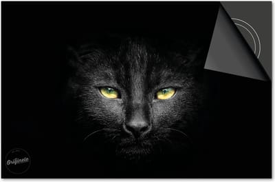 Inductie beschermer 60x60 - afdekplaat inductie mat - Dietrix Kookplaat beschermer - Exclusief - Dieren - Zwarte Kat