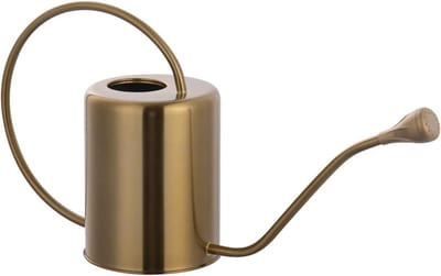 Gieter Roestvrij Staal - Waterblik Kamerplant - Planten Water Geven - Afneembare Douche Tuit - 2 Liter - Goud