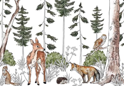 Fotobehang - Dieren - Bos - Cartoon - Woud - Witte Achtergrond - Vliesbehang- 254x184cm (lxb)