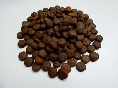 Dogs Delicious hondenbrokken hypoallergeen Super Premium Zalm en Aardappel 20 kg