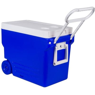 32L Koelbox op wielen IJsbox Kamperen Buiten Picknick Draagbare Warmte-isolatiebox No Table and Chair blauw
