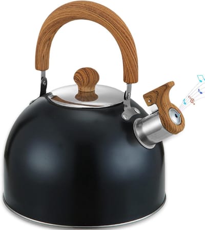 Waterkoker - Fluitketels Voor op Gas - Heetwaterdispenser - Camping - Edelstaal