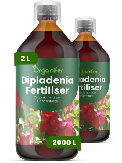 Vloeibare Meststof Voor Dipladenia 2X1 L Voor 2000 L - Npk 2-1-8 - Krachtige Groei - Trompetvormige Bloemen - Sterke Wortels - Hittebestendig - Stressbestendig - Compacte Groei - Bloemkleurintensiteit - Doorlopende Bloei - Organifer