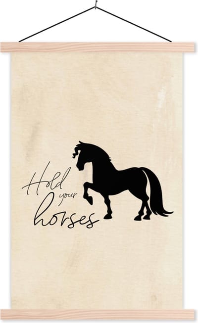 Posterhanger incl. Poster 40x60 cm - Schoolplaat - Quotes - Hold your horses - Spreuken - Paarden - Textielposter - Blanke latten