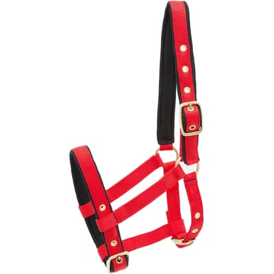 Nylon hoofdstel voor paard Kieffer
