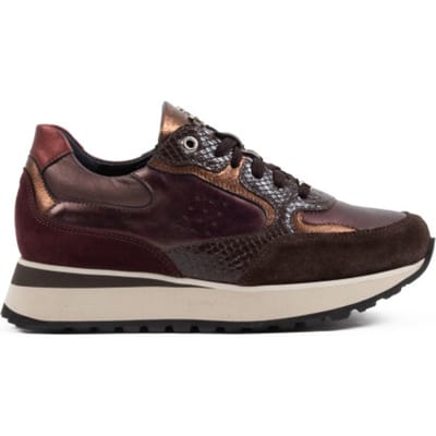 Footnotes 31.002