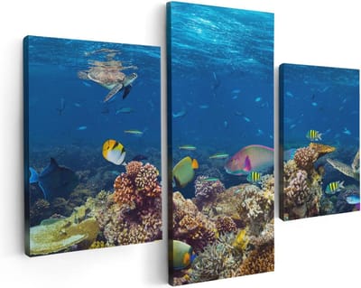 Artaza Canvas Schilderij Drieluik Vissen met Koraalrif in de Oceaan - 90x60 - Foto Op Canvas - Canvas Print