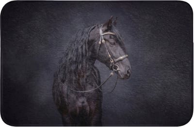 Badmat 60x40 cm - Antislip - Portret - Paard - Donker - Badmatten voor badkamer - Badkamermat - Douchemat - Badkamer mat