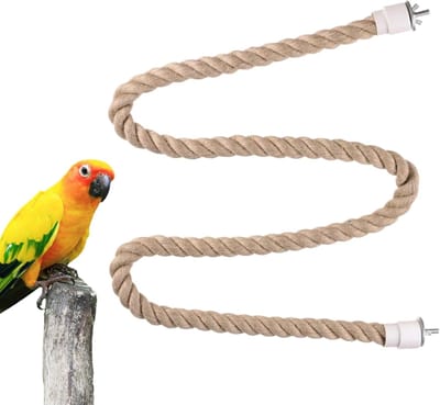 Vogel Klimtouw - Speelplaats Vogels - Binnenkooi Verrijking - Interactieve Ontspanning - 60cm Lengte - Meerkleurig