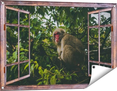 Gards Tuinposter Doorkijk Aap in de Boom tussen de Bladeren - 90x60 cm - Tuindoek - Tuindecoratie - Wanddecoratie buiten - Tuinschilderij
