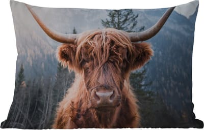 Buitenkussens - Schotse hooglander - Koe - Dieren - Berg - Natuur - 60x40 cm - Weerbestendig