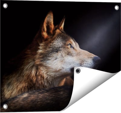 Gards Tuinposter Wolvenkop met een Zonnestraal - Wolf - 50x40 cm - Tuindoek - Tuindecoratie - Wanddecoratie buiten - Tuinschilderij