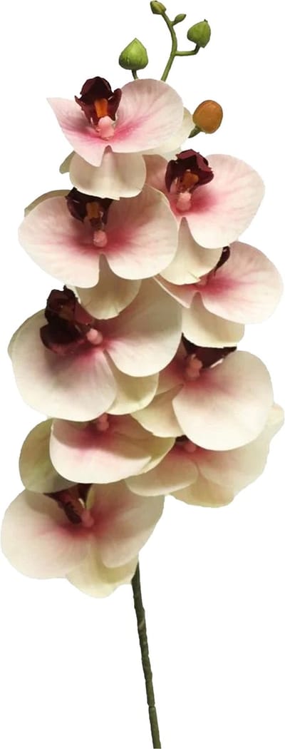 Bellatio Design Kunstbloem Orchidee Bora - roze - 77 cm - losse steel - kunst zijdebloemen - Phalaenopsis