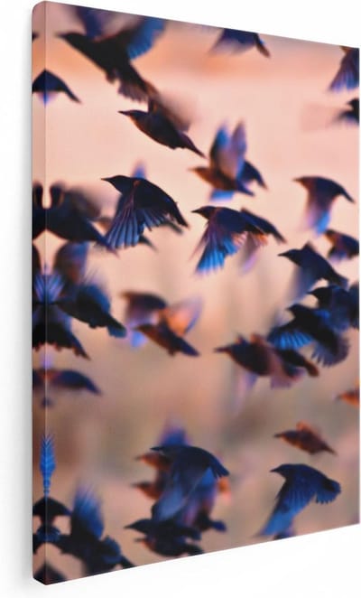 Artaza Canvas Schilderij Vogelzwerm - 30x40 cm - Klein - Wanddecoratie Vogels - Muurdecoratie Woonkamer - Kamer Accessoires