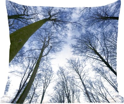 Sierkussens - Kussentjes Woonkamer - 60x60 cm - Bos - Bomen - Lucht