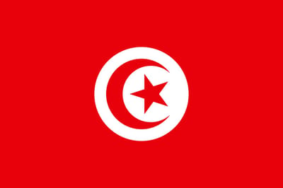 Vlag Tunesië 300x450cm
