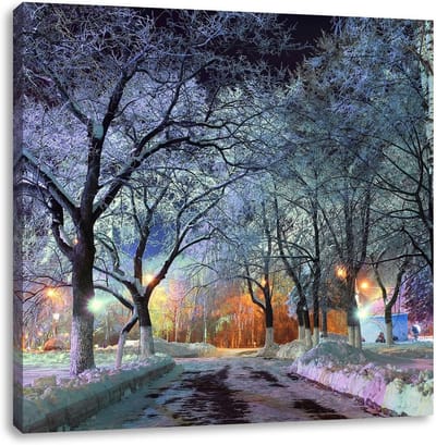 Canvas Foto Wanddecoratie Winterlijk Bomenlaan 40x40 cm | Kunstdruk op Hout Gespannen